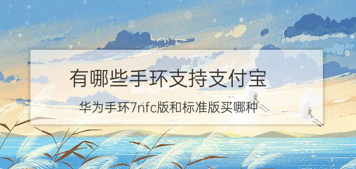 有哪些手环支持支付宝 华为手环7nfc版和标准版买哪种？